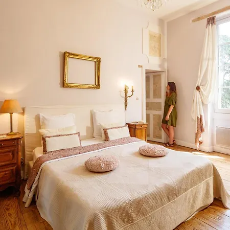 Domaine Du Buc, Le Château 2* Marssac-sur-Tarn